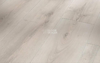 Ламинат Parador Basic Plus 600 XS 1593828 Дуб Аскада Выбеленный фото 1 | FLOORDEALER